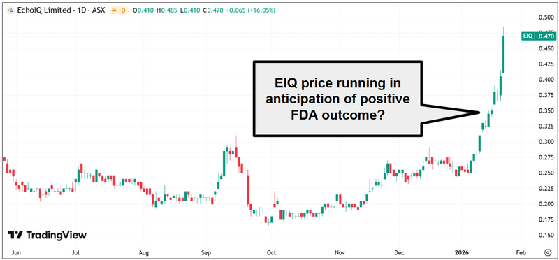 Next Investors Image