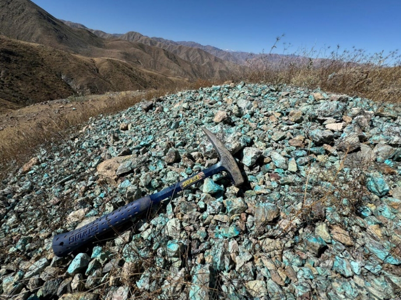 Next Investors Image