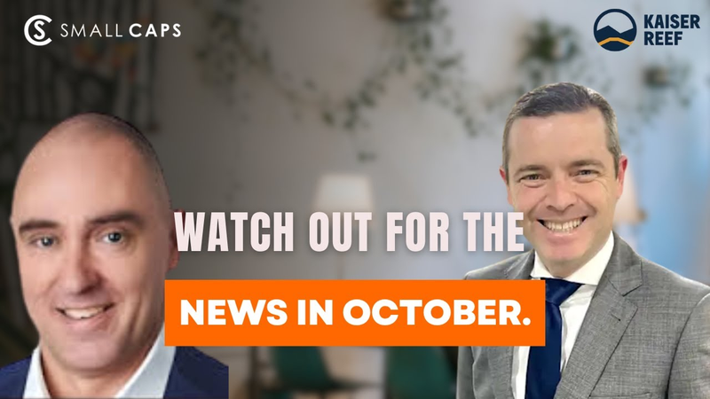 Next Investors Image