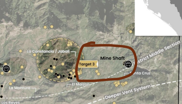 Next Investors Image