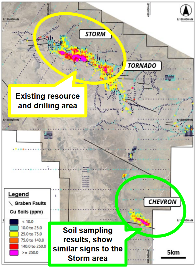 Next Investors Image
