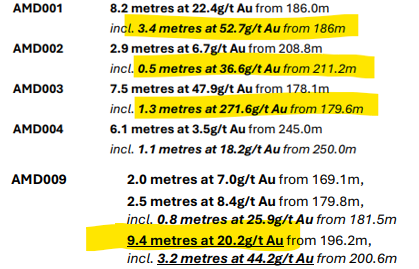 Next Investors Image