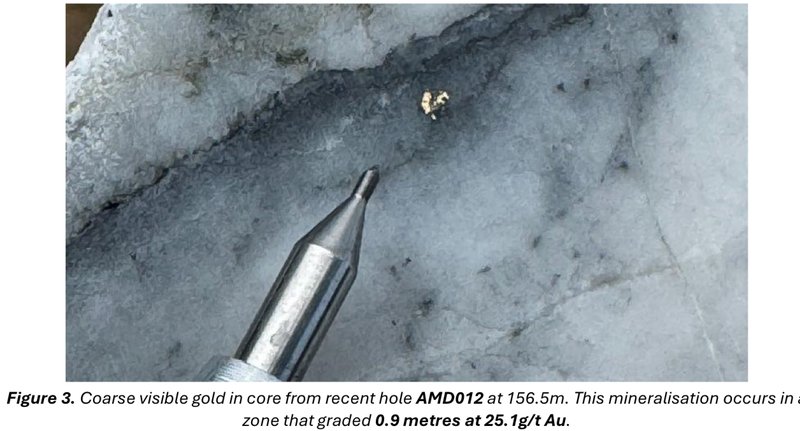 Next Investors Image