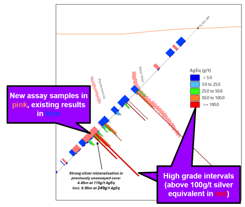Next Investors Image