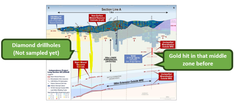 Next Investors Image