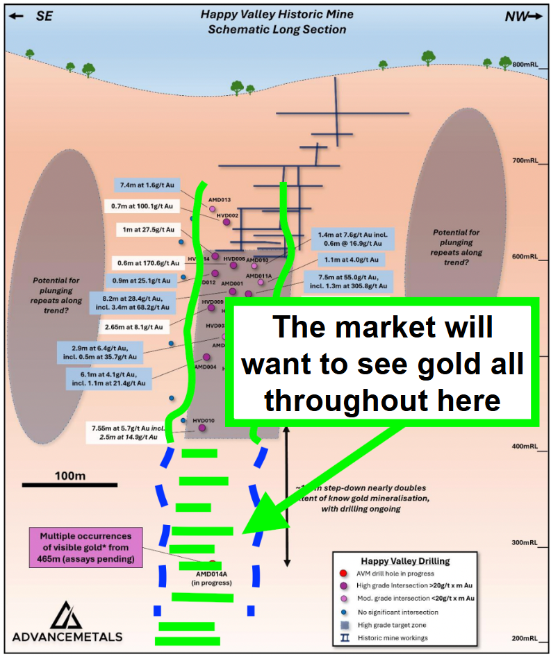 Next Investors Image