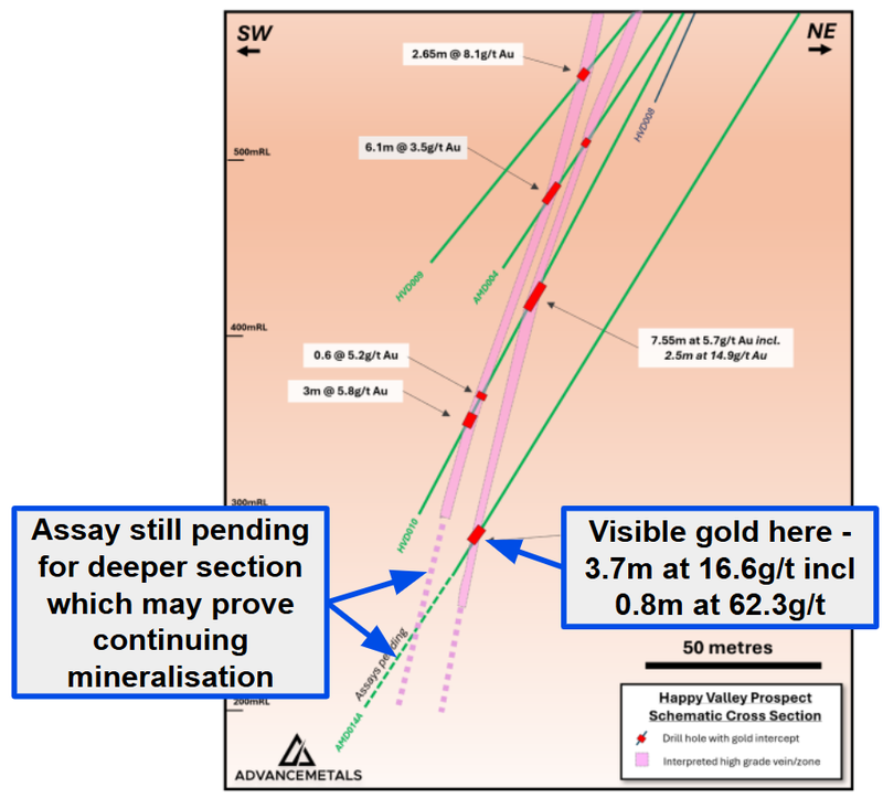 Next Investors Image