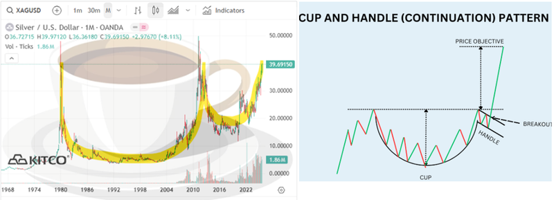 Next Investors Image