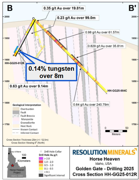 Next Investors Image