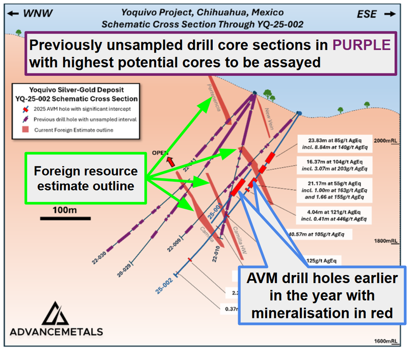 Next Investors Image