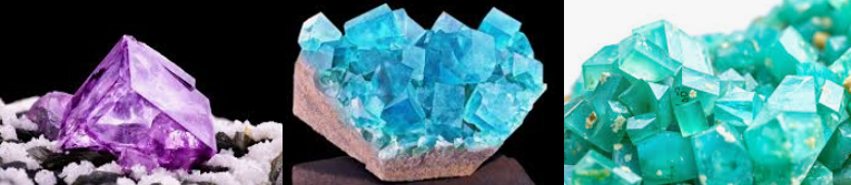 Next Investors Image