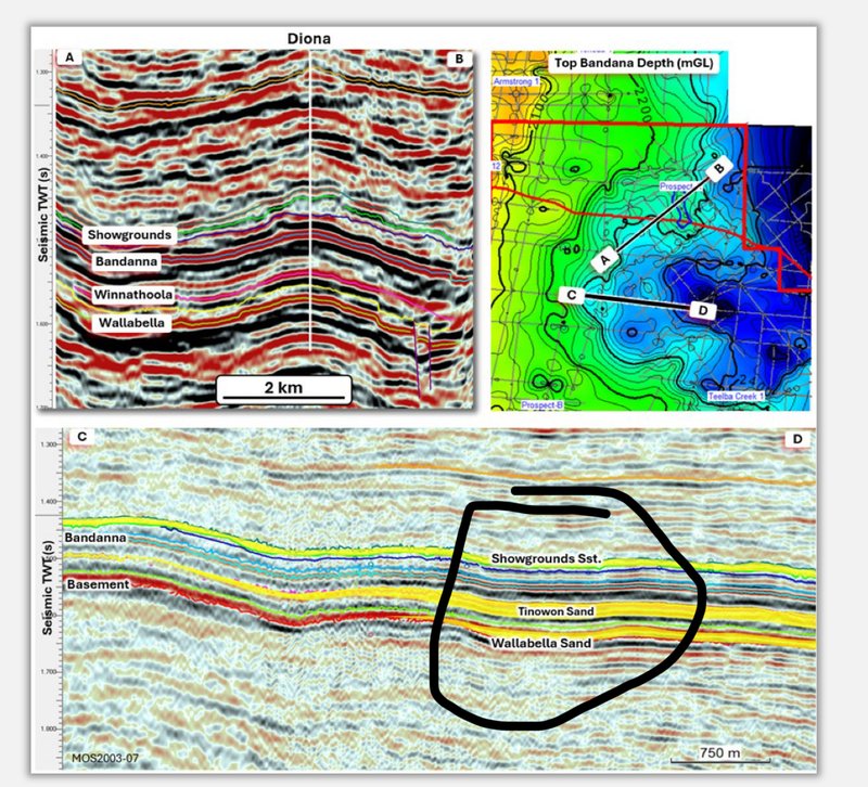 Next Investors Image