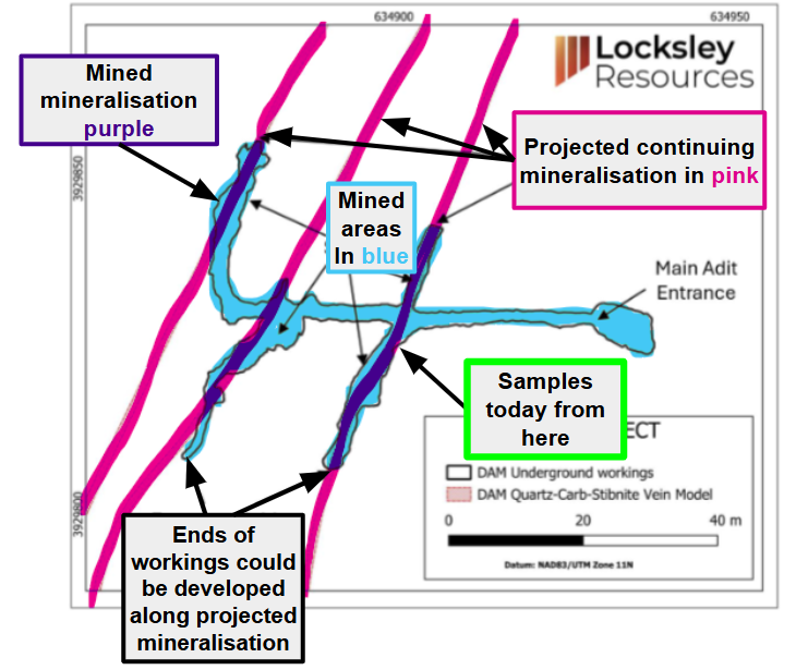 Next Investors Image