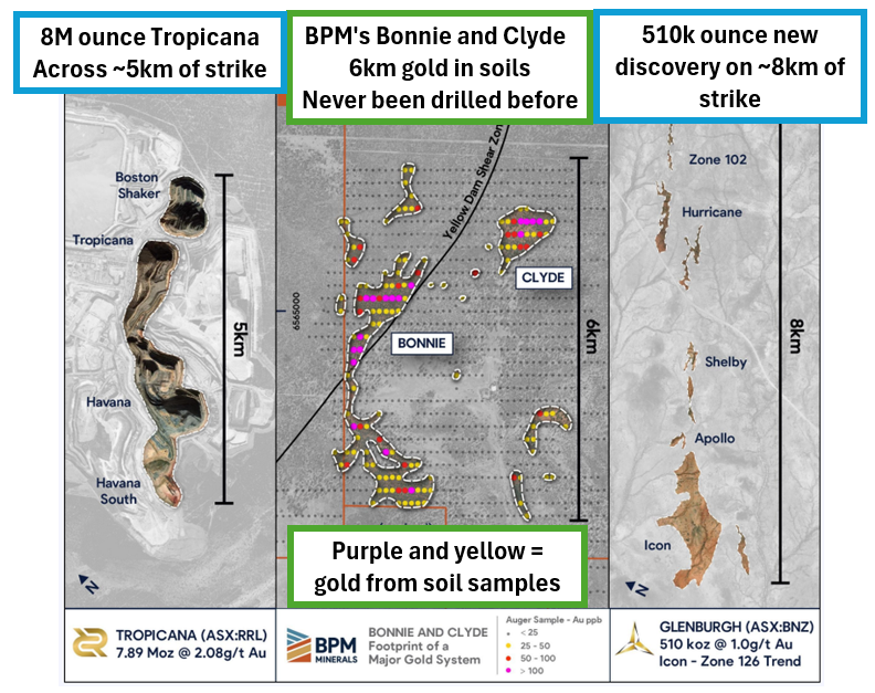 Next Investors Image