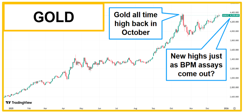 Next Investors Image