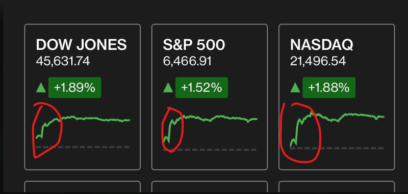 Next Investors Image