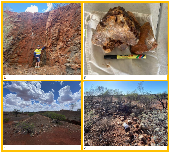 Next Investors Image