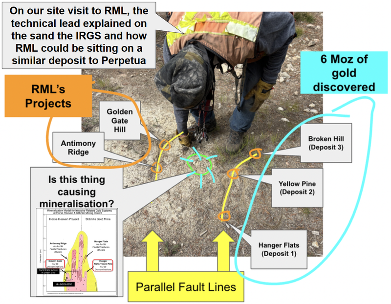 Next Investors Image