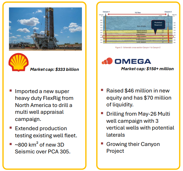 Next Investors Image