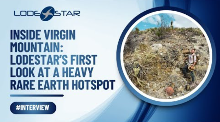 Next Investors Image