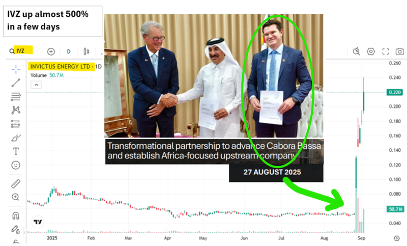 Next Investors Image