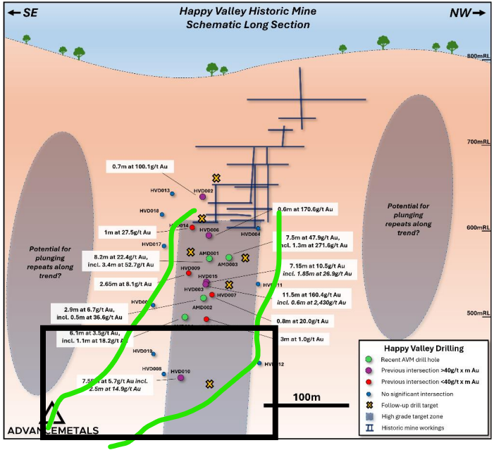 Next Investors Image