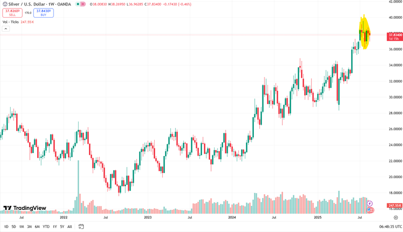 Next Investors Image