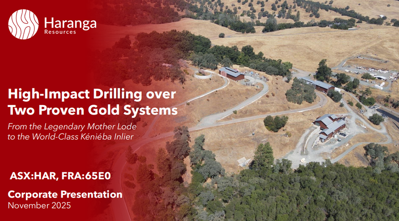 Next Investors Image