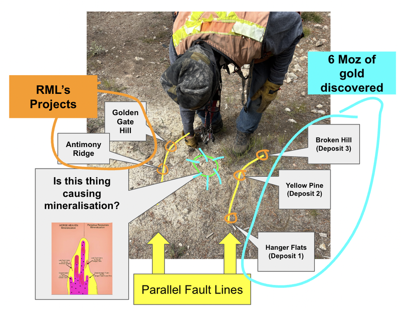 Next Investors Image