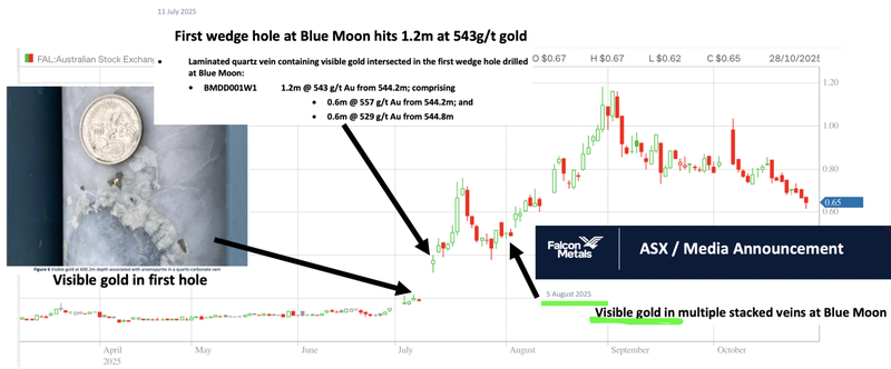 Next Investors Image