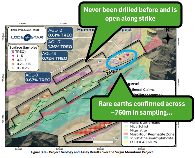 Next Investors Image