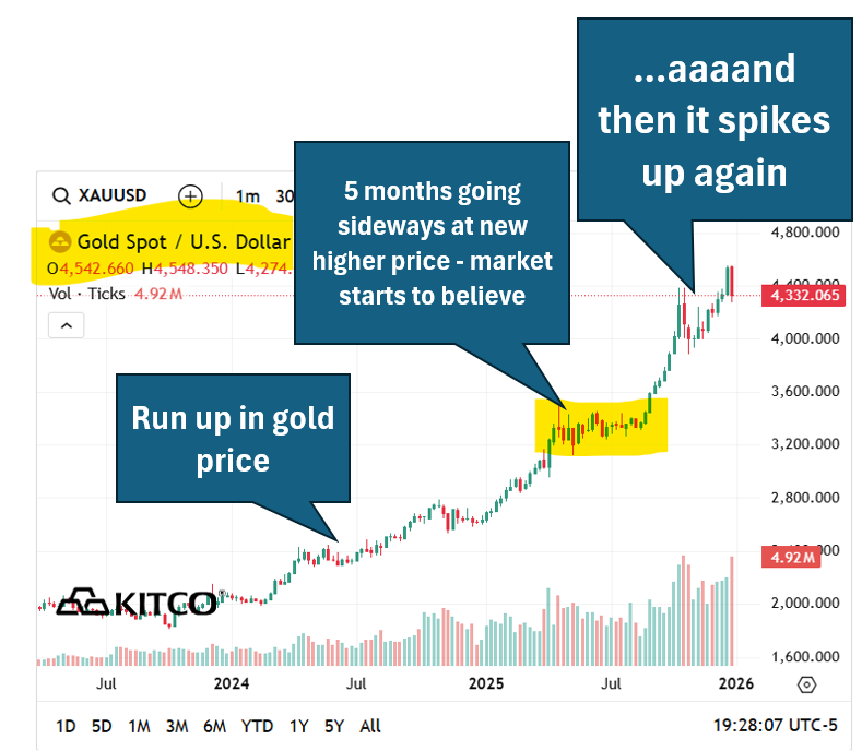 Next Investors Image