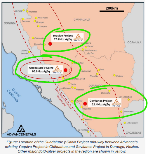 Next Investors Image