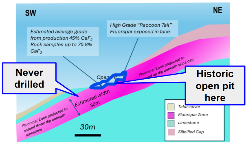 Next Investors Image