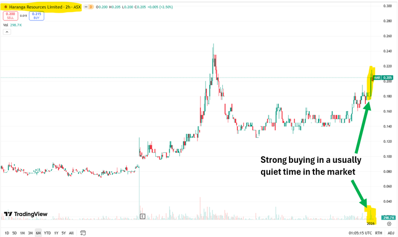 Next Investors Image