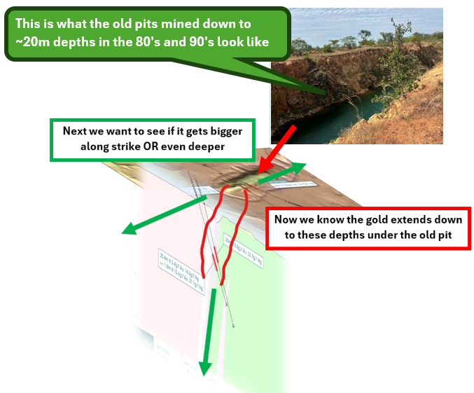 Next Investors Image