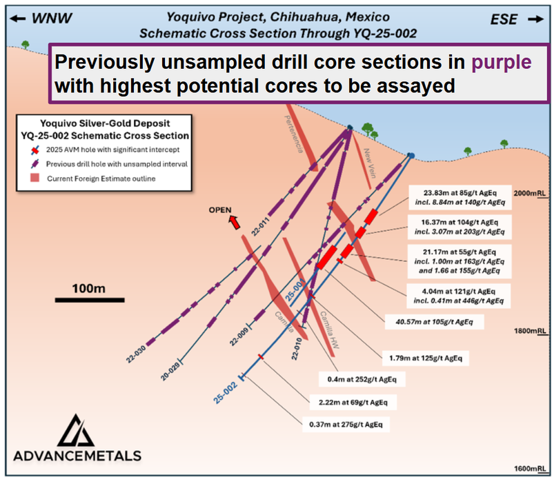 Next Investors Image