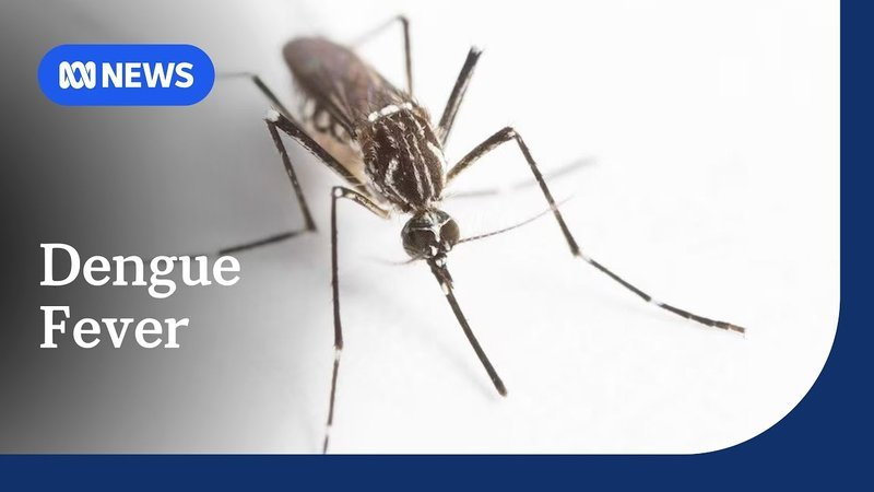 Next Investors Image