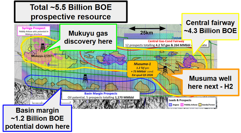 Next Investors Image