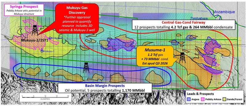 Next Investors Image
