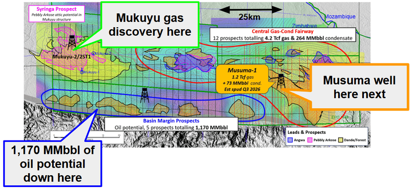Next Investors Image