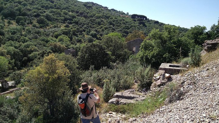 lithium tin PLH-feature img