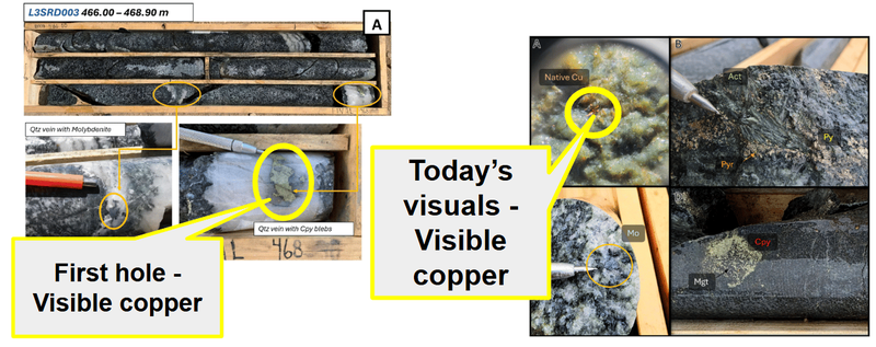 Next Investors Image