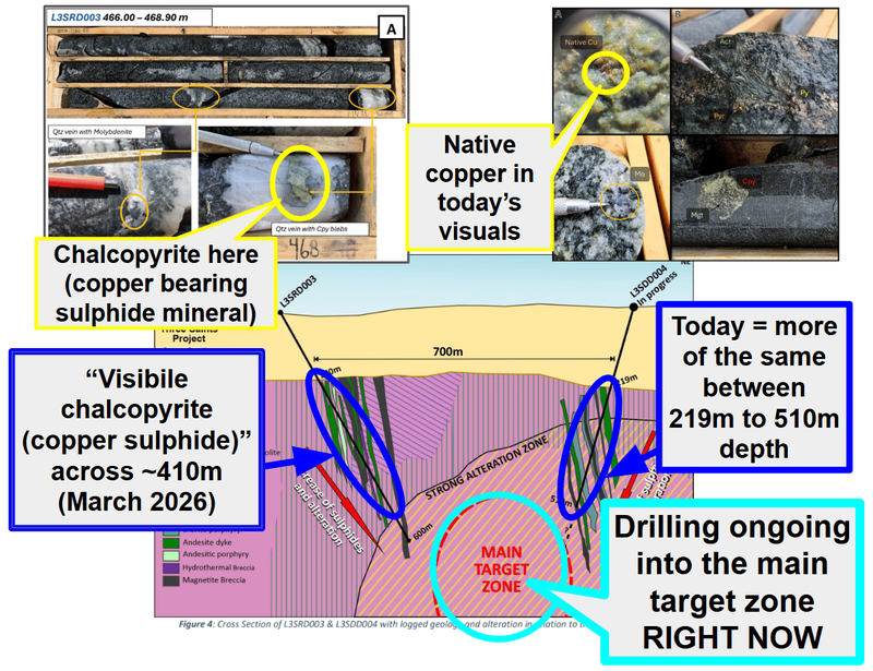 Next Investors Image