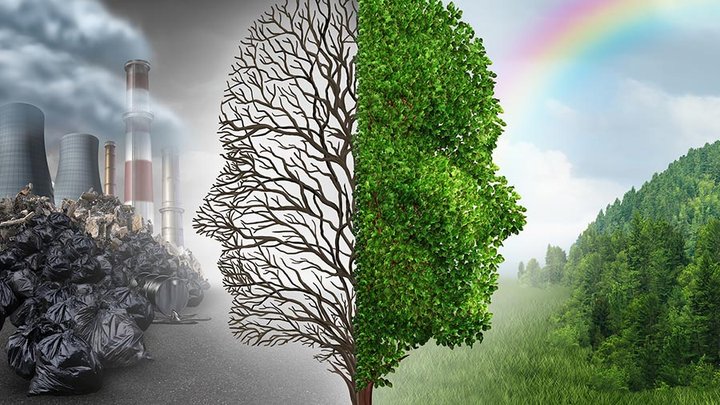 medical-cannabis-MMJ