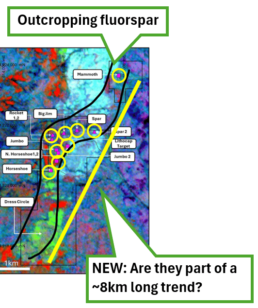 Next Investors Image