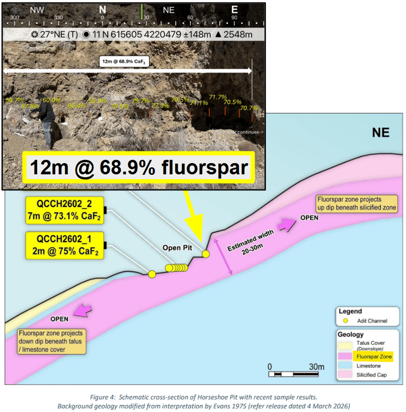 Next Investors Image