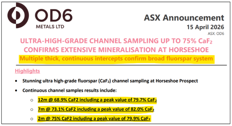 Next Investors Image