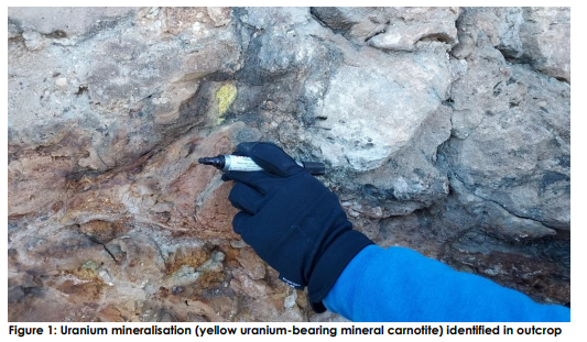 Uranium mineralisation identified in outcrop