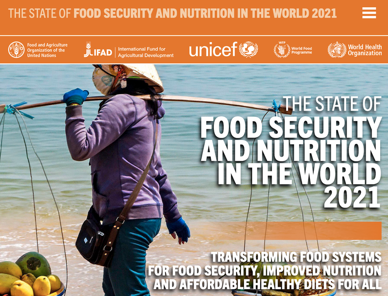 The State Food Security and Nutrition in the World UN Report